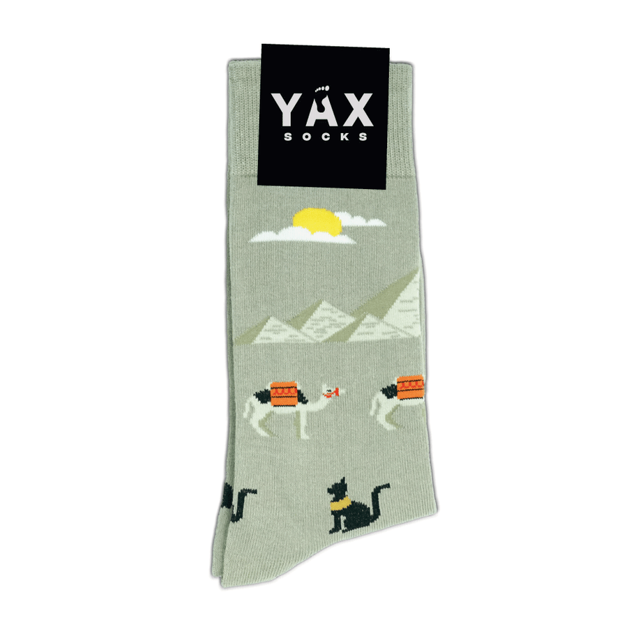 CREW SOCKS EGYPTIAN